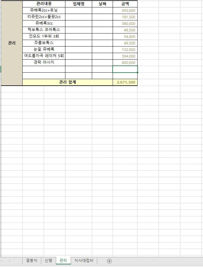 결혼식 관리비용 엑셀